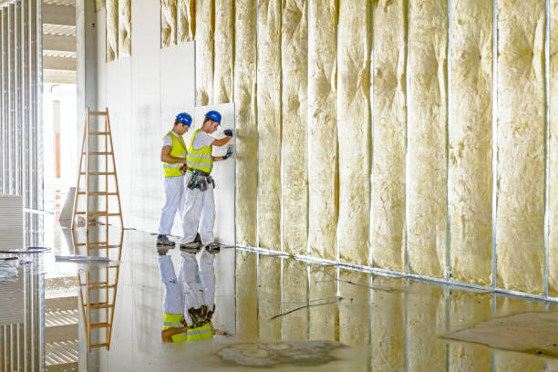 Best Commercial Insulation in Rogers, AR